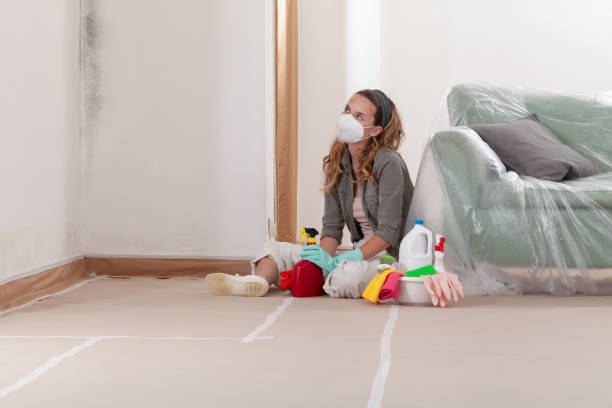 Reliable Mold Remediation contractor in Midland, VA by Cheap Mold Removal